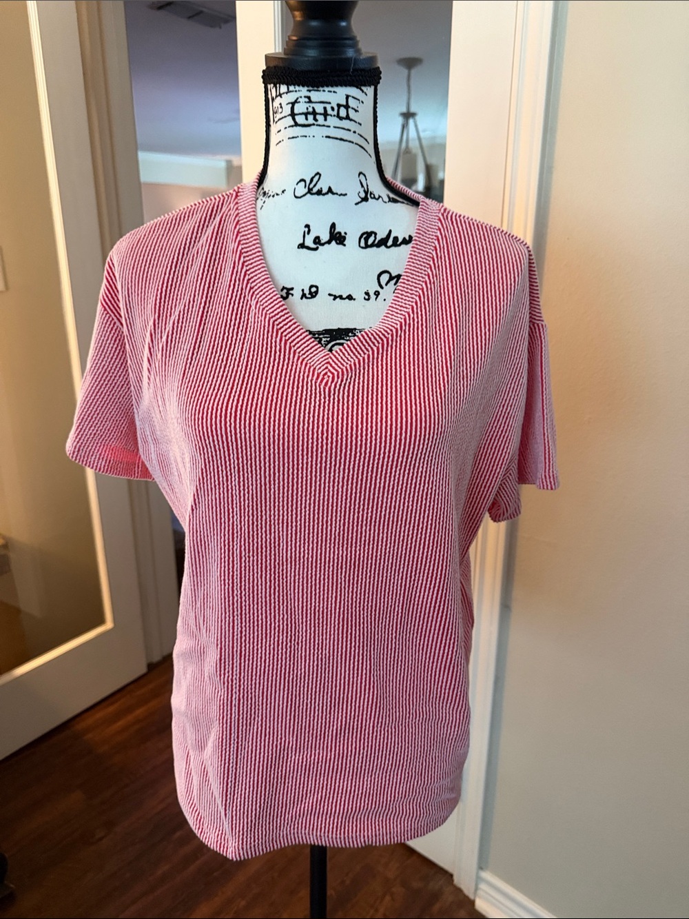 Women's Red Striped V-Neck Knit Top
